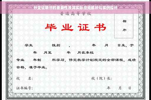 分支证明书的重要性及其实际应用解析与实例探讨