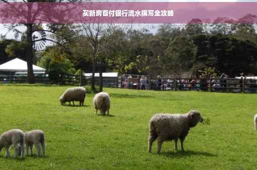 买新房首付银行流水撰写全攻略