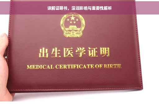 谅解证明书，深远影响与重要性解析