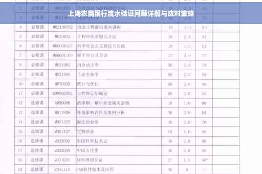 上海农商银行流水验证问题详解与应对策略