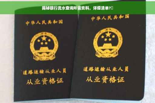 揭秘银行流水查询所需资料，详细清单?✨
