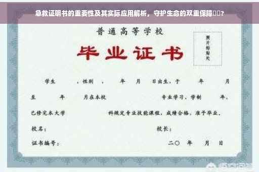 急救证明书的重要性及其实际应用解析，守护生命的双重保障⚡️?