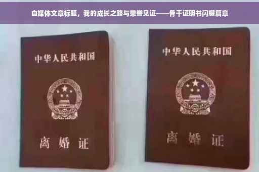 自媒体文章标题，我的成长之路与荣誉见证——骨干证明书闪耀篇章