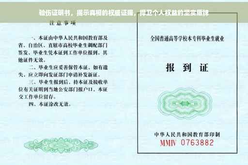 验伤证明书，揭示真相的权威证据，捍卫个人权益的坚实盾牌
