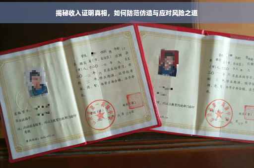 揭秘收入证明真相，如何防范仿造与应对风险之道