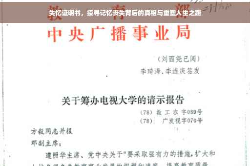 失忆证明书，探寻记忆丧失背后的真相与重塑人生之路