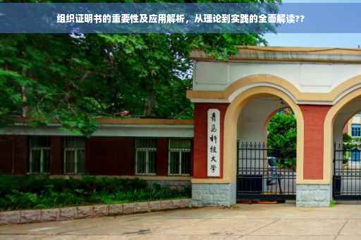 组织证明书的重要性及应用解析，从理论到实践的全面解读??
