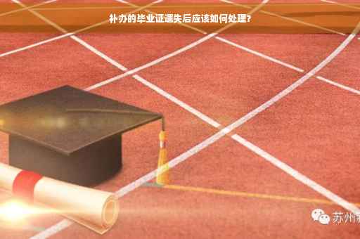 补办的毕业证遗失后应该如何处理？