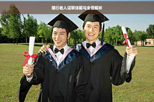 建行收入证明详解与全面解析