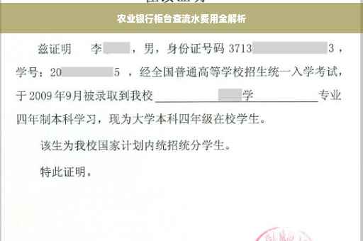 农业银行柜台查流水费用全解析