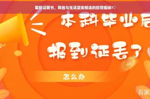 国税证明书，税收与生活紧密相连的纽带揭秘?✨
