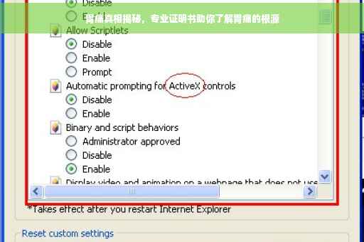 胃痛真相揭秘,专业证明书助你了解胃痛的根源 胃痛真相揭秘,专业证明书助你了解胃痛的根源
