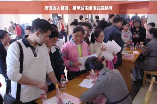 菏泽收入证明，揭示城市经济发展脉搏