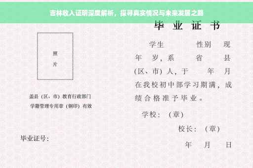 吉林收入证明深度解析，探寻真实情况与未来发展之路