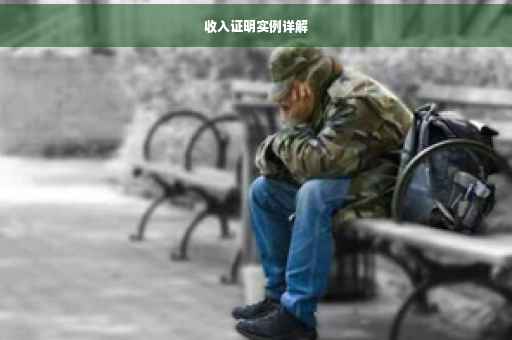 收入证明实例详解