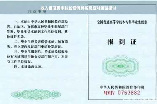 收入证明民事纠纷案例解析及应对策略探讨