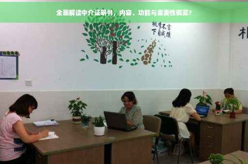 全面解读中介证明书，内容、功能与重要性概览?