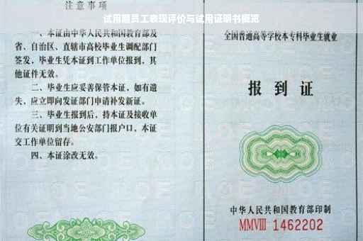 试用期员工表现评价与试用证明书概览