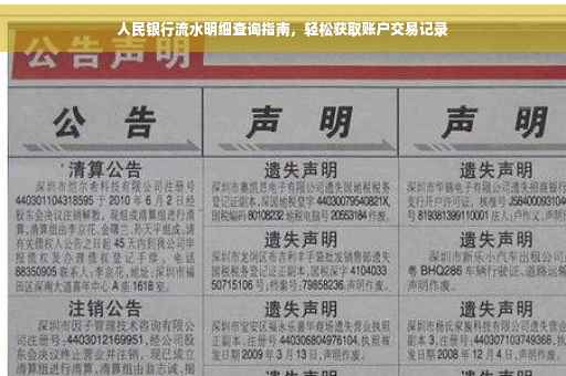 人民银行流水明细查询指南，轻松获取账户交易记录