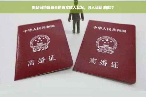 揭秘网络管理员的真实收入状况，收入证明详解??