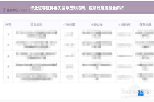 毕业证等证件丢失紧急应对指南，应急处理策略全解析