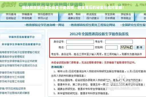 揭秘房贷银行流水收支平衡真相，收支背后的秘密与应对策略！
