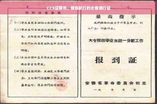 CCS证明书，绿色航行的必备通行证
