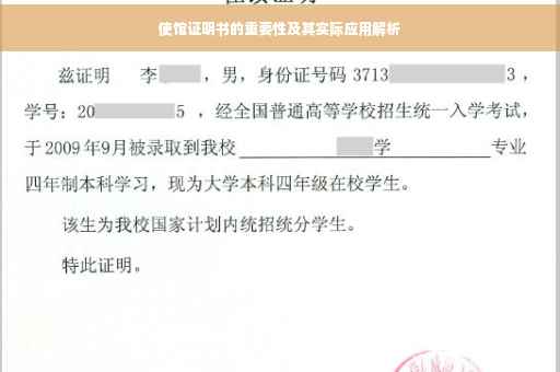 使馆证明书的重要性及其实际应用解析