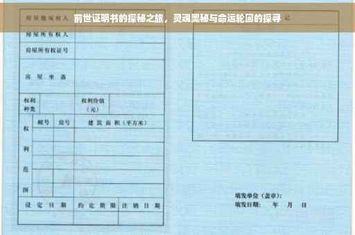 前世证明书的探秘之旅，灵魂奥秘与命运轮回的探寻