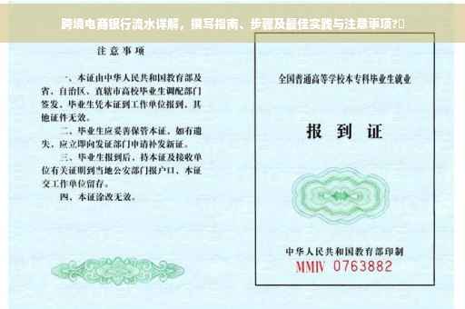 跨境电商银行流水详解，撰写指南、步骤及最佳实践与注意事项?✨