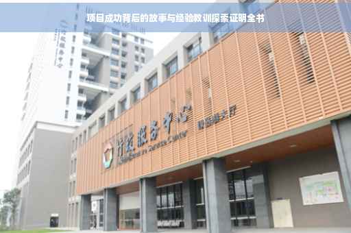 项目成功背后的故事与经验教训探索证明全书