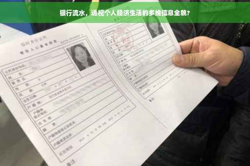 银行流水，透视个人经济生活的多维信息全貌?