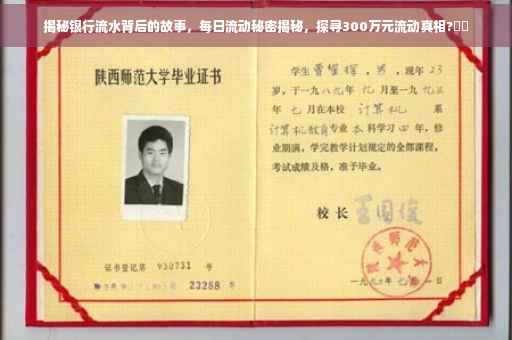 揭秘银行流水背后的故事，每日流动秘密揭秘，探寻300万元流动真相?⚡️