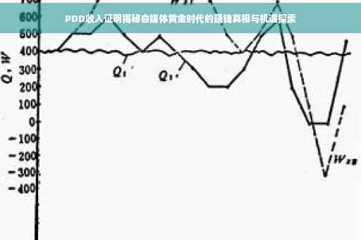 PDD收入证明揭秘自媒体黄金时代的赚钱真相与机遇探索