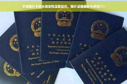 宁波银行卡流水真实性深度探究，图片证据解析与评估?⚡️