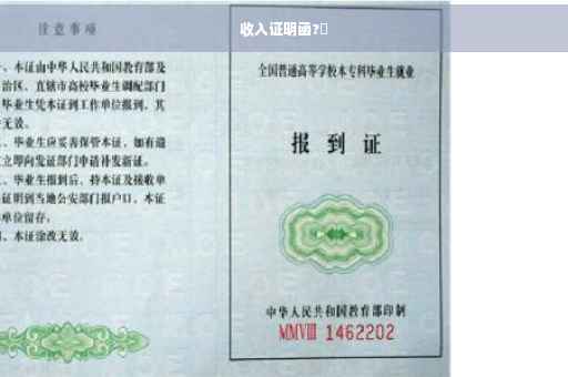 收入证明函?✨