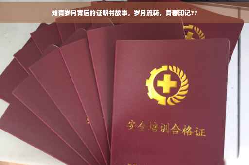知青岁月背后的证明书故事，岁月流转，青春印记??