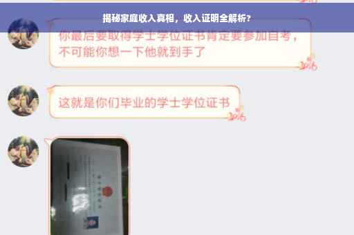 揭秘家庭收入真相，收入证明全解析?