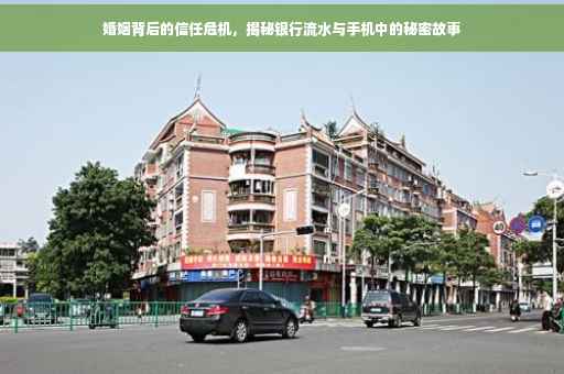 婚姻背后的信任危机，揭秘银行流水与手机中的秘密故事