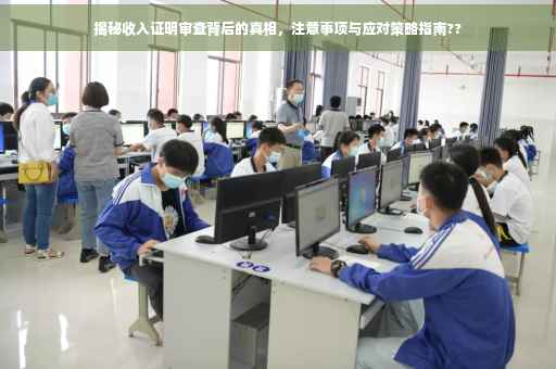 揭秘收入证明审查背后的真相，注意事项与应对策略指南??