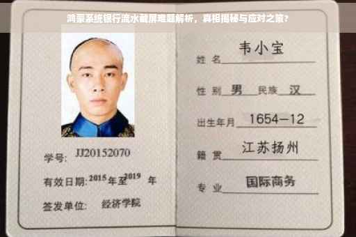 鸿蒙系统银行流水截屏难题解析，真相揭秘与应对之策?