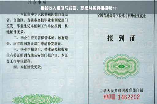揭秘收入证明与发票，职场财务真相探秘??