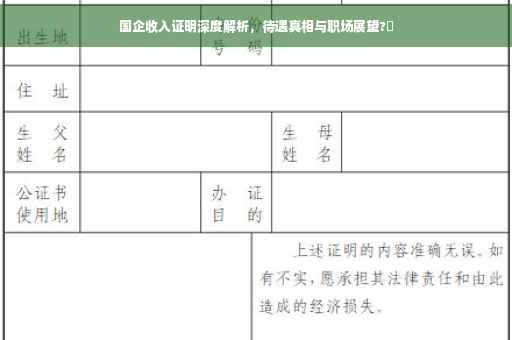国企收入证明深度解析，待遇真相与职场展望?✨