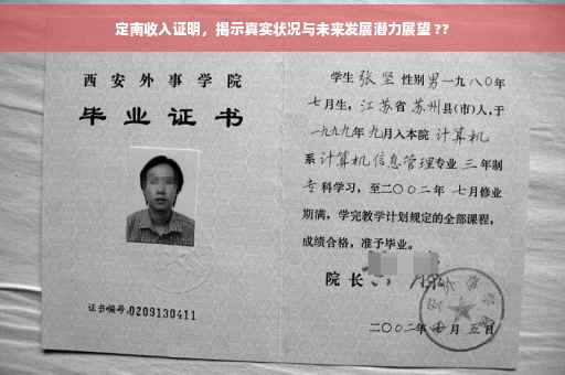 定南收入证明，揭示真实状况与未来发展潜力展望 ??