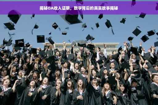揭秘OA收入证明，数字背后的真实故事揭秘