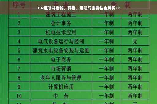 DR证明书揭秘，真相、用途与重要性全解析??