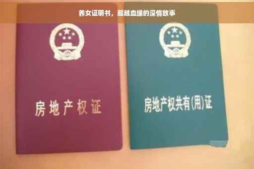养女证明书，超越血缘的深情故事