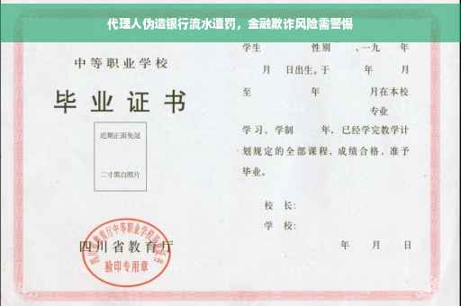 代理人伪造银行流水遭罚，金融欺诈风险需警惕