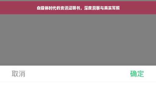 自媒体时代的资讯证明书，深度洞察与真实写照