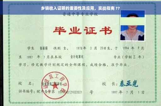 乡镇收入证明的重要性及应用，实战指南 ??